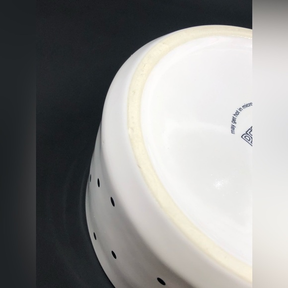 Rae Dunn Peanuts Pet Dog Bowl Halloween Spooktacular Snoopy & Woodstock - Picture 15 of 16